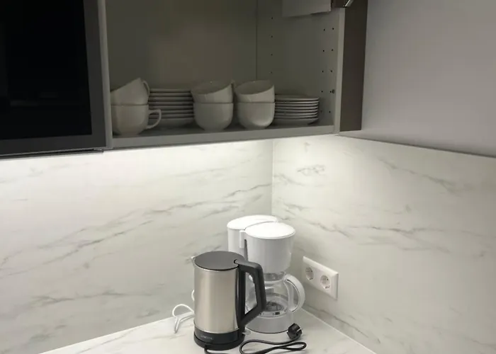 Gaestehaus Ferdinand Zwickau-werdau Willa *